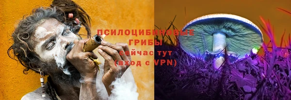 стаф Няндома