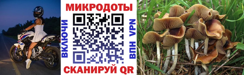 где можно купить   Поронайск  дарк нет формула  Псилоцибиновые грибы ЛСД 